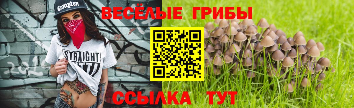 Псилоцибиновые грибы GOLDEN TEACHER Донской